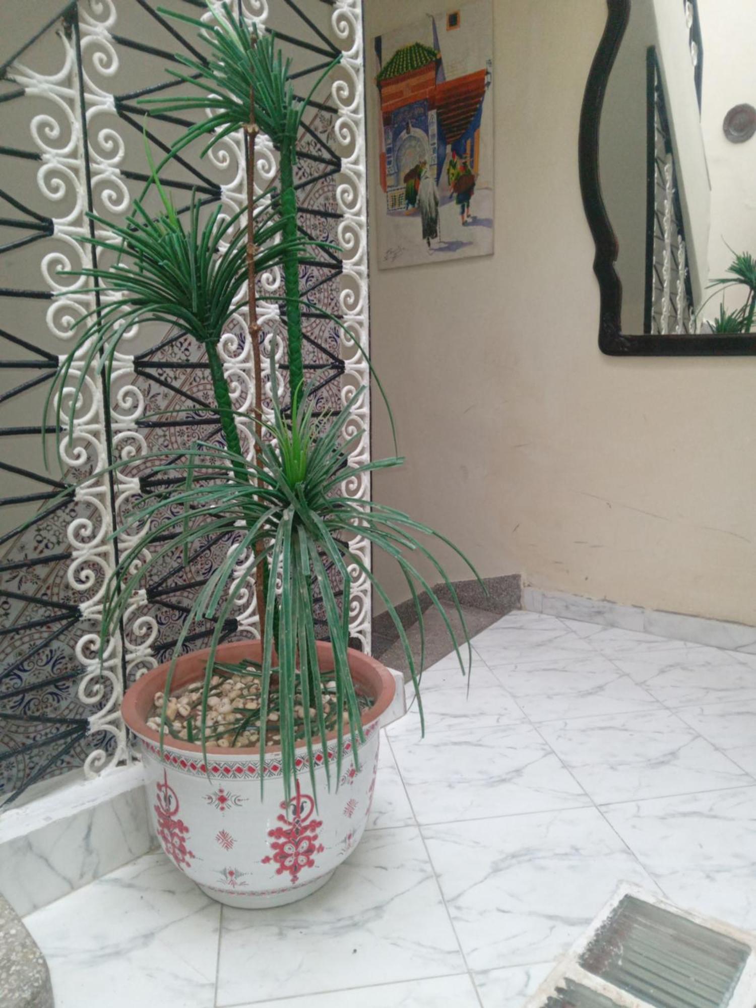 Riad Kamal Rabat Zewnętrze zdjęcie